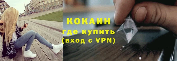 шишки Богородицк